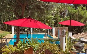 Casa Simba B&B (Adults Only)